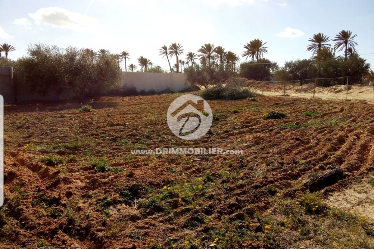 V 229 -                            Sale
                           Terrain Djerba